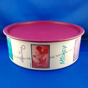 TUPPERWARE One-touch Cookies Snack Container, Plum Seal Lid, Disney Friends